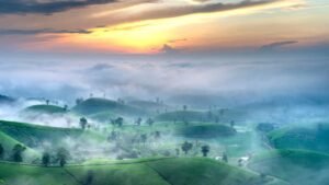 The Wonder Around Us: Environment