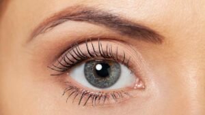 The Human Eye: Nature’s Most Sophisticated Camera