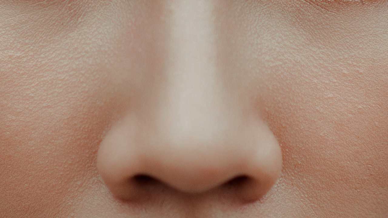 The Human Nose: More Than Just a Smelling Organ