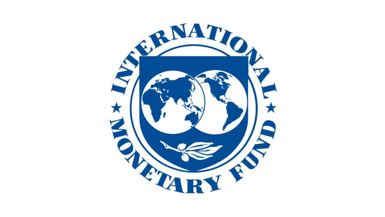 IMF: Global Savior or Corporate Powerhouse?